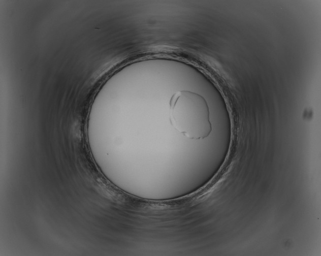 X0000091681209200708231059