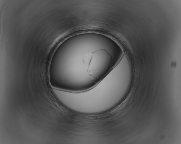X0000091681210200708231059
