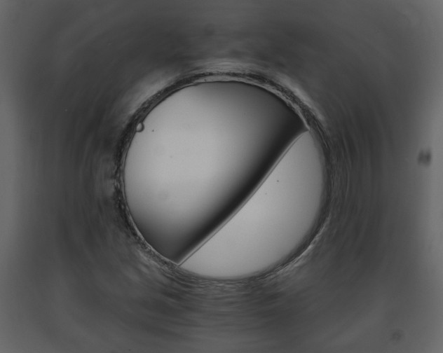 X0000091681213200708231059