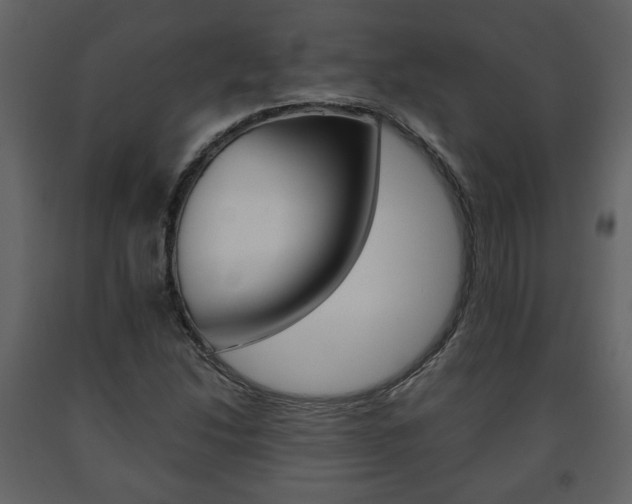 X0000091681214200708231059