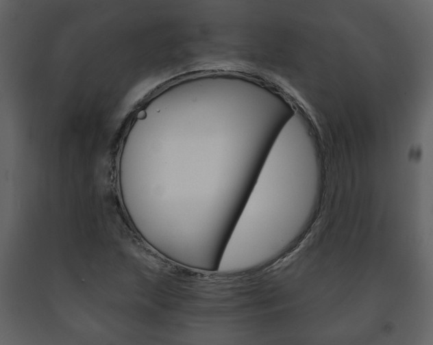 X0000091681215200708231059