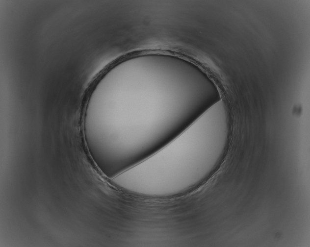X0000091681216200708231059