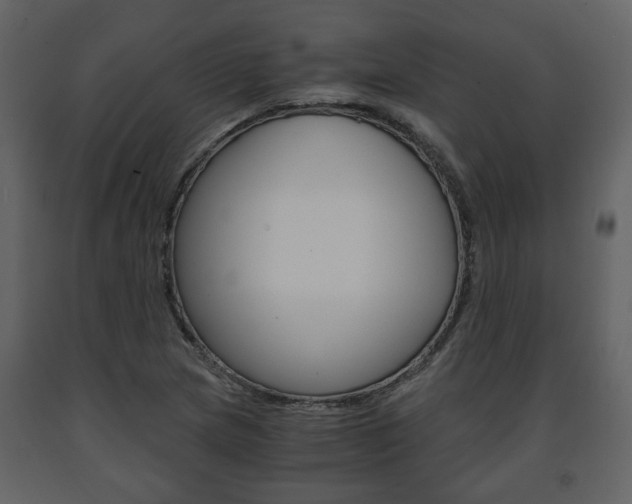 X0000091681217200708231100