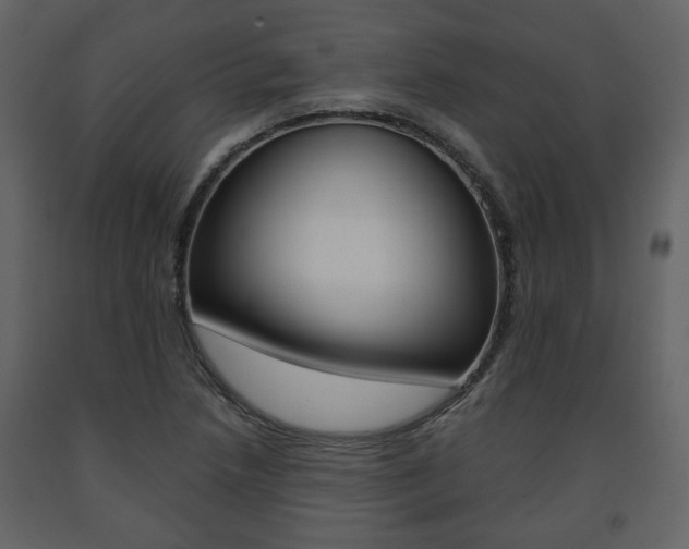 X0000091681218200708231100