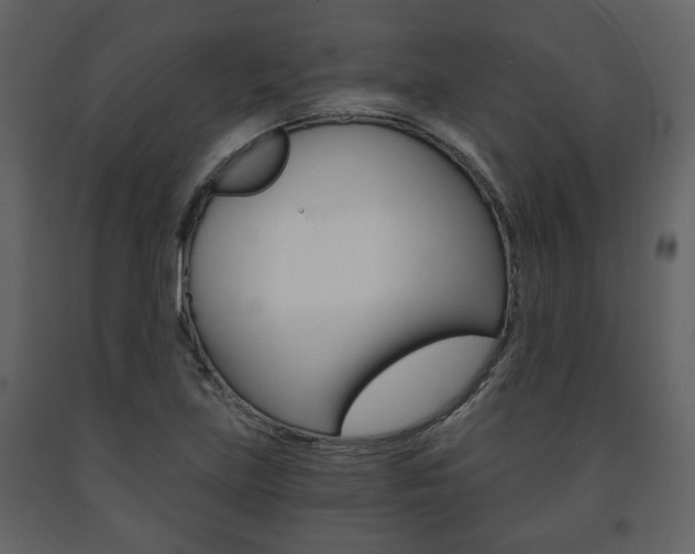 X0000091681219200708231100
