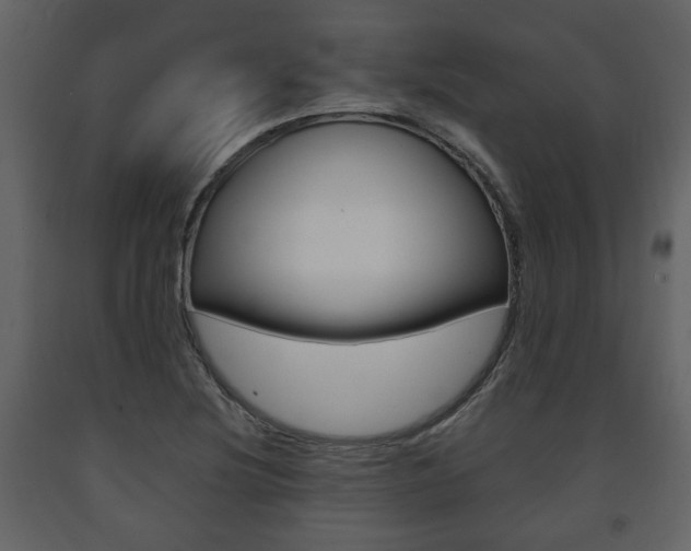 X0000091681220200708231100