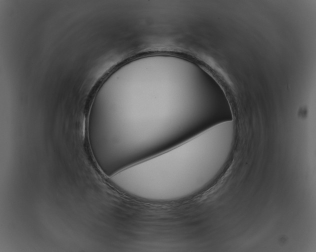 X0000091681221200708231100
