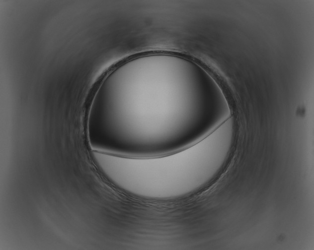 X0000091681222200708231100