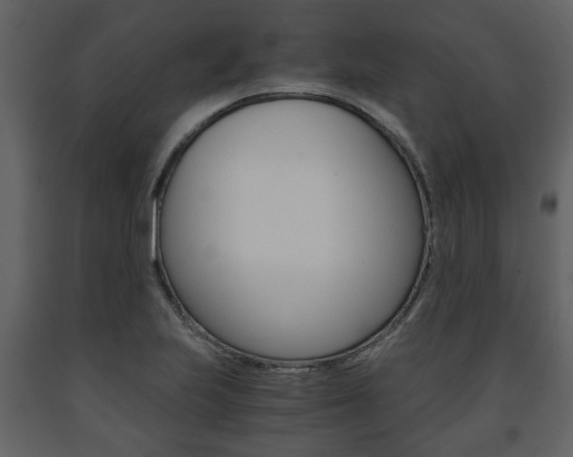 X0000091681223200708231100