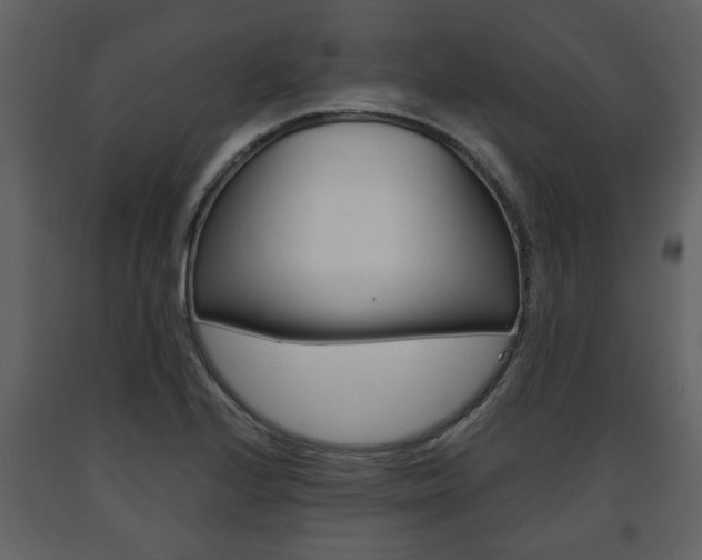 X0000091681224200708231100