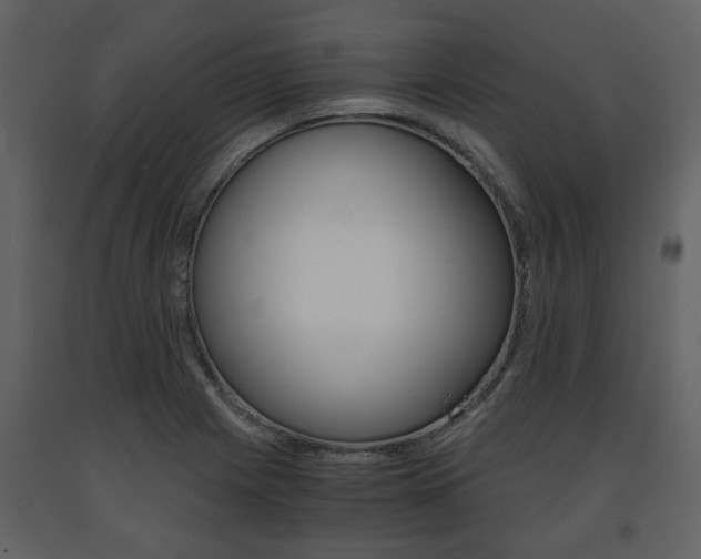 X0000091681225200708231100