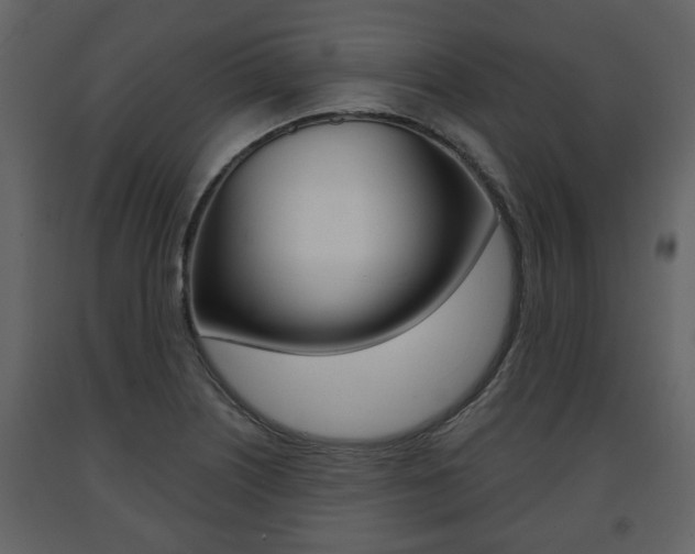 X0000091681226200708231100