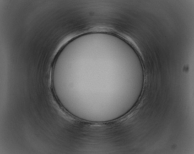 X0000091681227200708231100