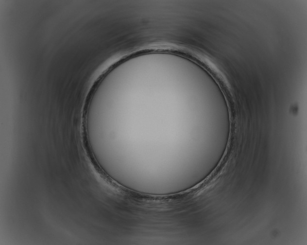 X0000091681229200708231100