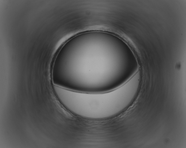 X0000091681230200708231100