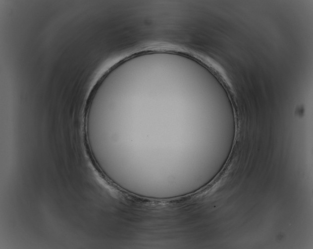X0000091681231200708231100
