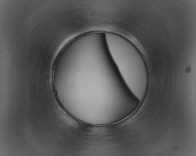 X0000091681232200708231100