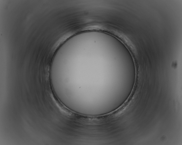 X0000091681233200708231100