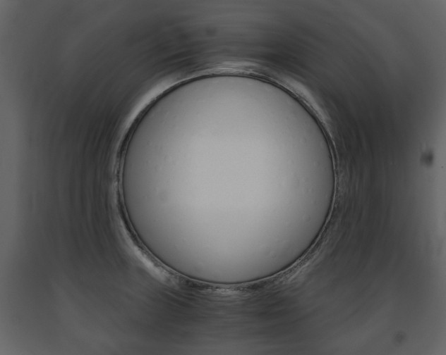 X0000091681235200708231100