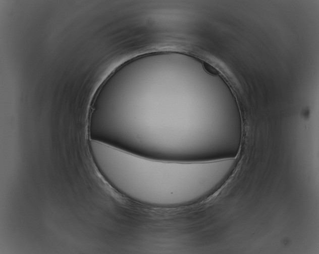 X0000091681236200708231100
