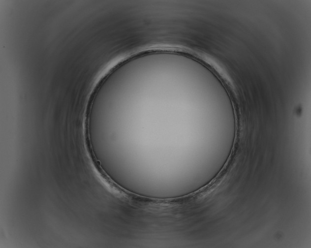 X0000091681237200708231100