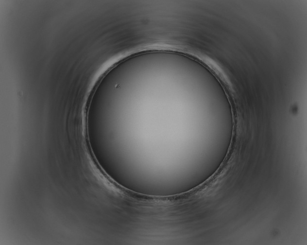 X0000091681238200708231100