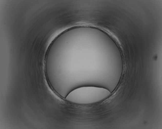 X0000091681239200708231100