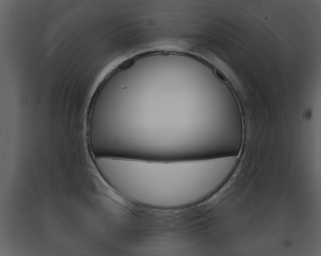 X0000091681240200708231100