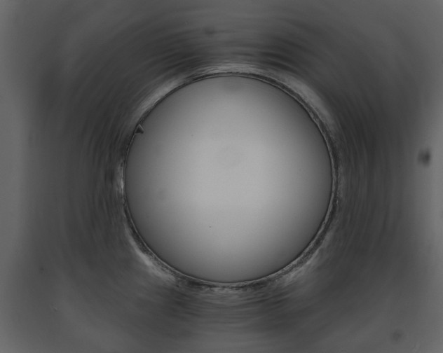 X0000091681241200708231100