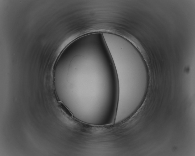 X0000091681242200708231100