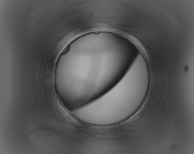 X0000091681244200708231100