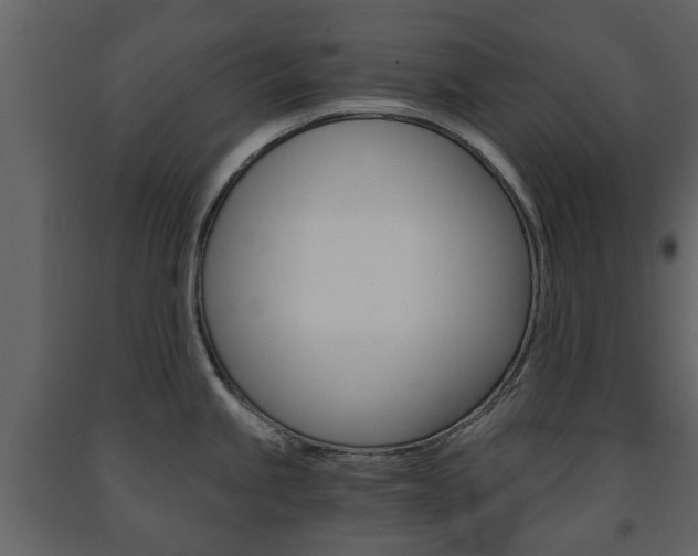 X0000091681245200708231100