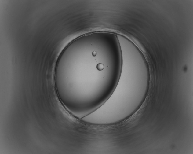 X0000091681246200708231100