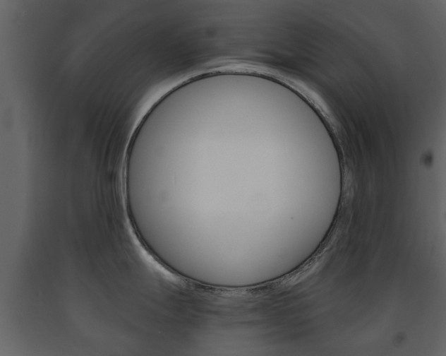 X0000091681247200708231100