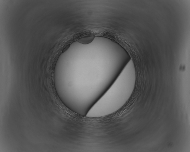 X0000091681249200708231059