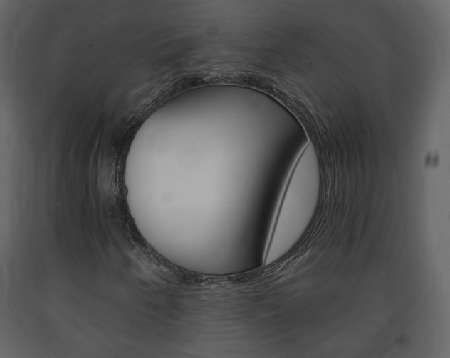 X0000091681250200708231059