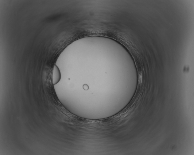 X0000091681251200708231059