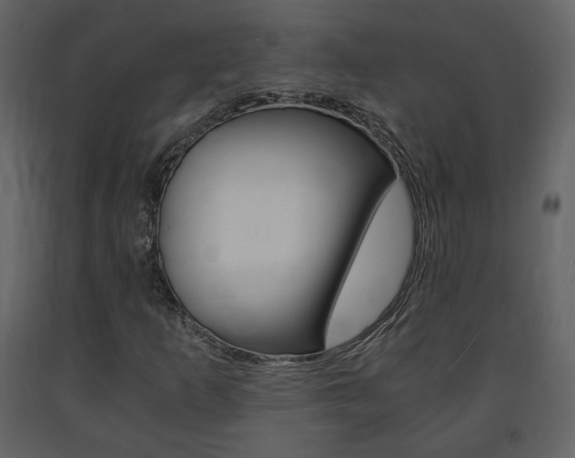 X0000091681253200708231059