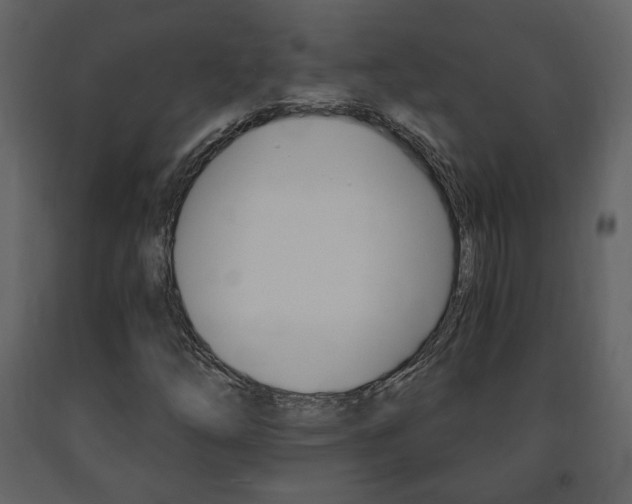 X0000091681254200708231059