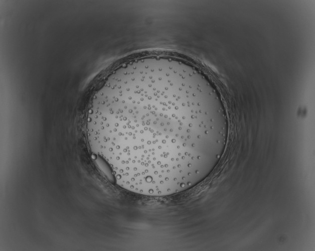 X0000091681255200708231059