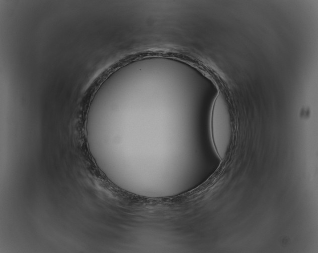 X0000091681256200708231059