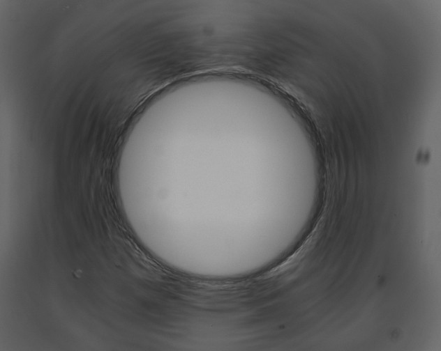 X0000091681257200708231059