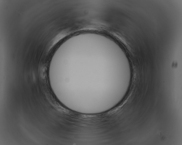 X0000091681258200708231059