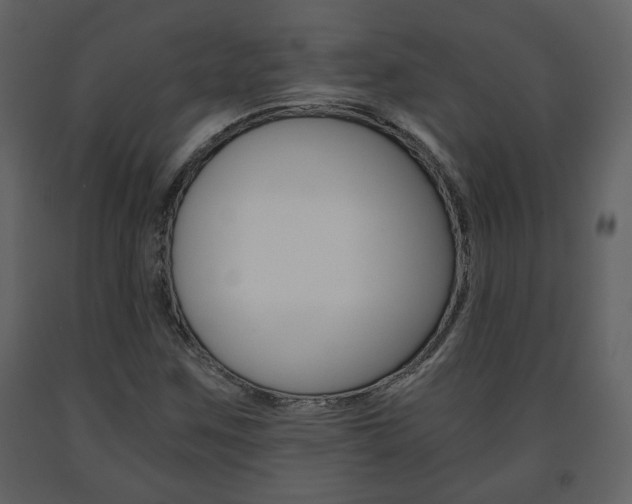 X0000091681259200708231059