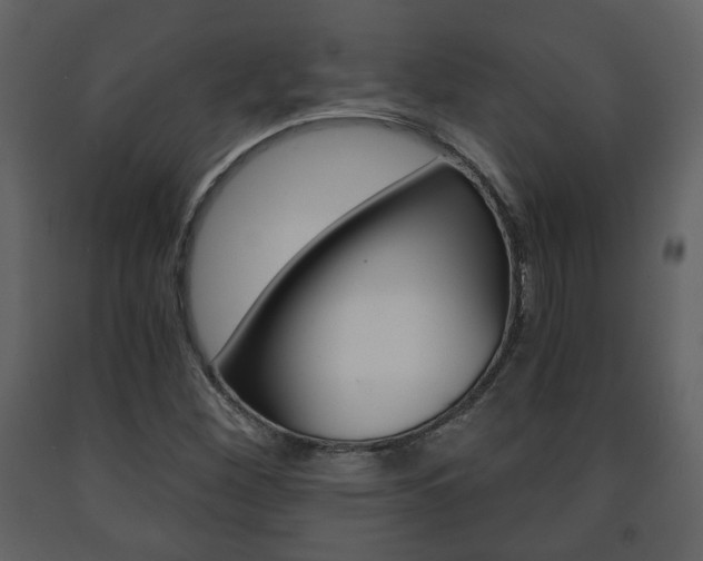 X0000091681260200708231059