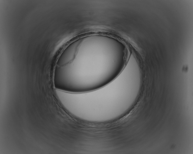 X0000091681261200708231059