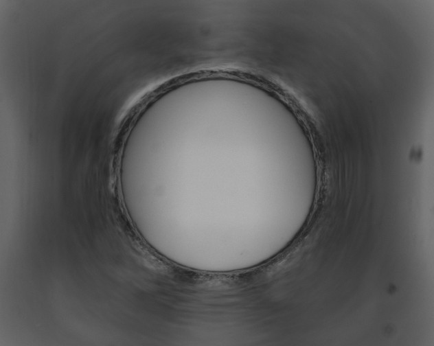 X0000091681262200708231059