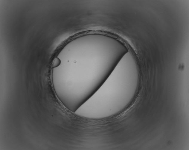 X0000091681263200708231059