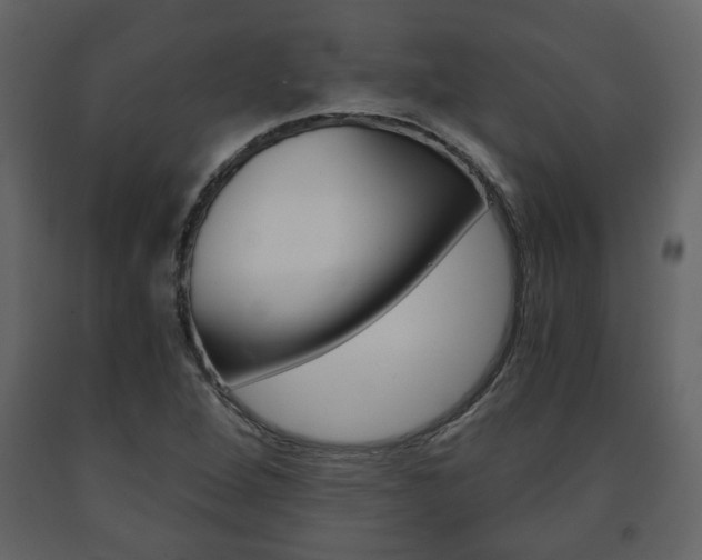 X0000091681264200708231059