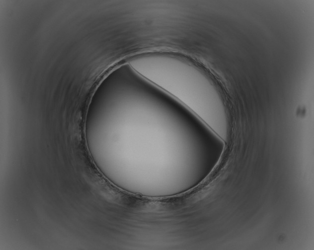 X0000091681265200708231059